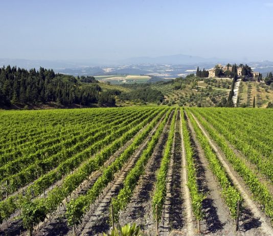 Artisti per Frescobaldi: una nuova edizione per il progetto che unisce arte e vino