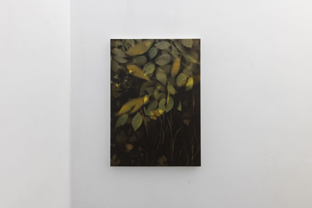 Linda Carrara, La luce tra le foglie, 2022 50x70 cm olio, acrilico e spray su tela