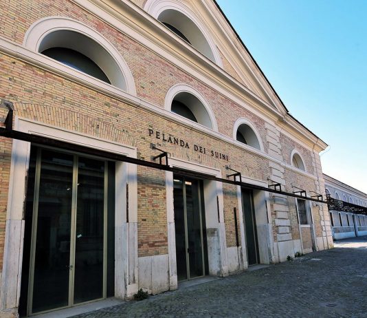 A Roma chiude anche la Pelanda: la crisi degli spazi per la ricerca artistica la pelanda chiude