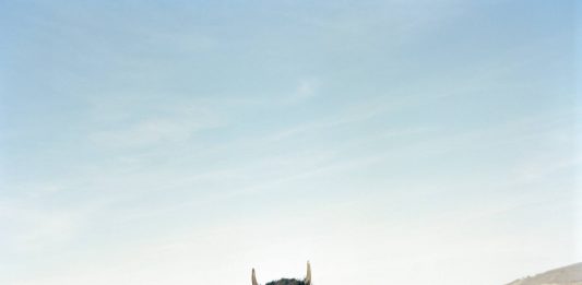 Giovane Fotografia Italiana: la mostra dei sette finalisti a Reggio Emilia