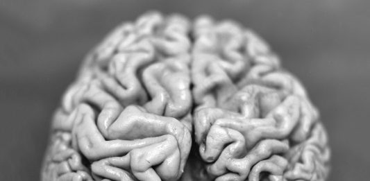 Decade: normalità e devianza nella personale di Christian Fogarolli Christian Fogarolli