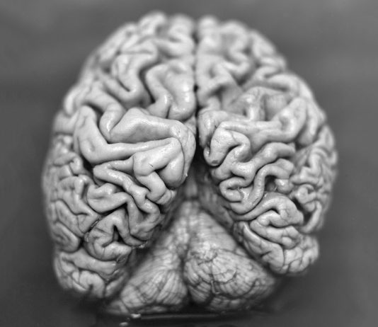 Decade: normalità e devianza nella personale di Christian Fogarolli Christian Fogarolli