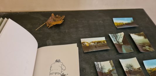 Un registrazione lenta del tempo: l’installazione di Anahi Mariotti a Roma Anahi Mariotti, Quando viene la sera, Roma 2023