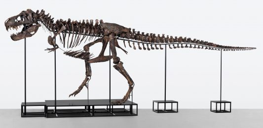 Out of this world! C’è un T-Rex all’asta a Zurigo koller t-rex