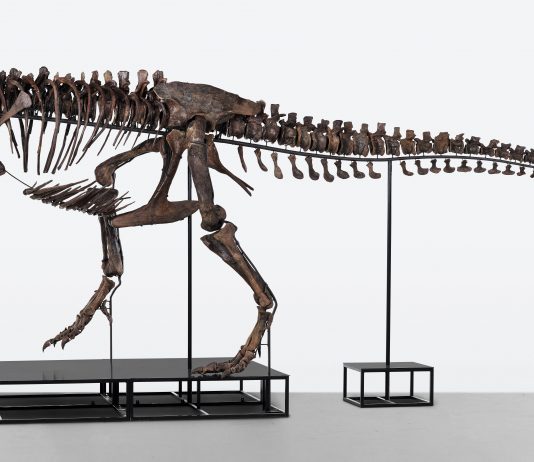 Out of this world! C’è un T-Rex all’asta a Zurigo koller t-rex