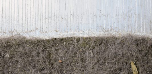 memoriaplastica: la mostra di Alice Mestriner e Ahad Moslemi da NAMI Gallery