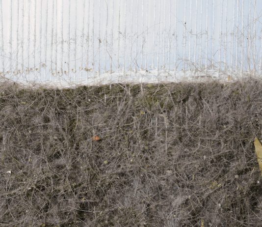 memoriaplastica: la mostra di Alice Mestriner e Ahad Moslemi da NAMI Gallery