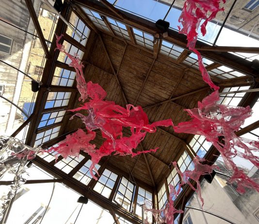 Il Giardino Acquatico di Aljoscha da Made in Cloister, a Napoli