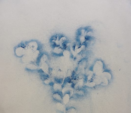 Andrea Fogli in mostra al Museo Duca di Martina, un dialogo vivo tra opera e contesto