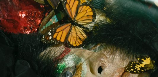 Chrysalis: The Butterfly Dream, la mostra al Centre d’Art Contemporain di Ginevra