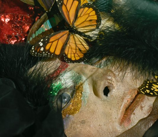 Chrysalis: The Butterfly Dream, la mostra al Centre d’Art Contemporain di Ginevra