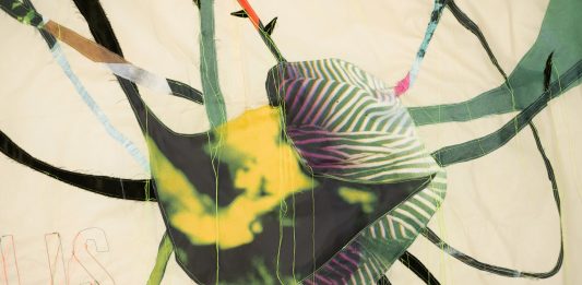 Da sola nel bosco. A Venezia la mostra di Lucia Veronesi