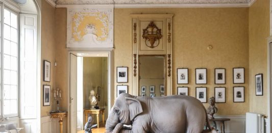 Quattro mostre Crossover a Parma, per il 360 Festival della creatività