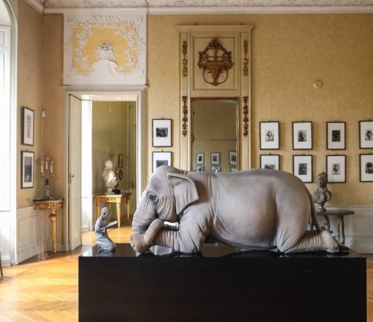 Quattro mostre Crossover a Parma, per il 360 Festival della creatività