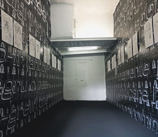 “Pedigree”: un dettaglio della mostra decentralizzata di Apriori Magazine