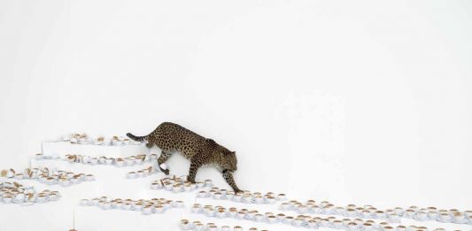 L’intervista a Gemma De Angelis Testa in occasione della grande donazione a Ca’ Pesaro