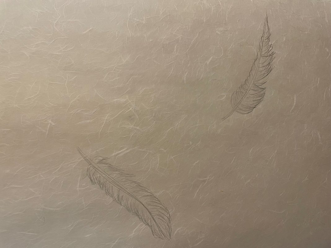 Vincenzo Buonaguro – Criptahttps://www.exibart.com/repository/media/2023/04/Vincenzo-Buonaguro-2-piume-disegnate-su-carta-Buonaguro-misure-48x60-cm-3-1068x801.jpg