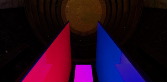 Se ti pianto, tu germogli? L’installazione del collettivo damp a Napoli