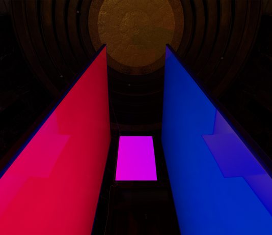 Se ti pianto, tu germogli? L’installazione del collettivo damp a Napoli