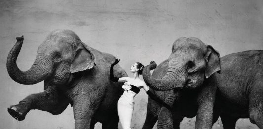 Richard Avedon 100: A New York, una mostra celebra l’eredità del grande fotografo
