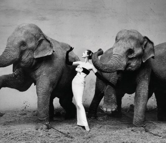 Richard Avedon 100: A New York, una mostra celebra l’eredità del grande fotografo