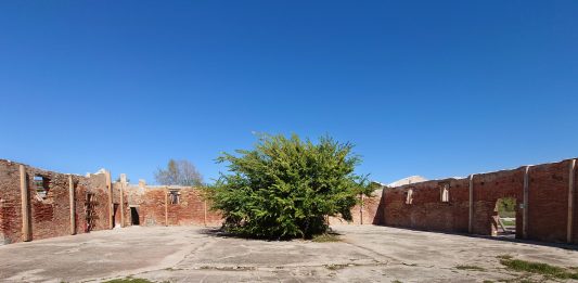 Architettura e ambiente: il MAXXI sbarca sull’Isola della Certosa di Venezia durante la Biennale