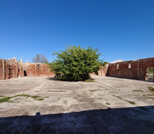 Architettura e ambiente: il MAXXI sbarca sull’Isola della Certosa di Venezia durante la Biennale