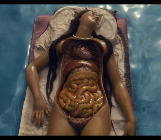 Cere anatomiche: le stranianti visioni del regista David Cronenberg in Fondazione Prada a Milano