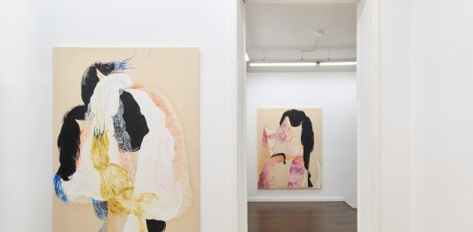 Edouard Nardon: The distant smell of a black locust, the silent dance of a ghost in the visiting room