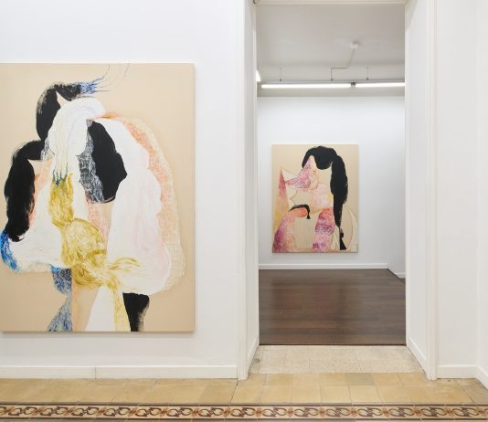 Edouard Nardon: The distant smell of a black locust, the silent dance of a ghost in the visiting room