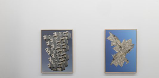 Quadriennale Roma, due nuove mostre a Palazzo Braschi, tra sociale e politico