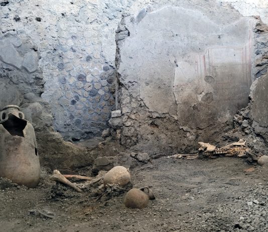 Pompei, due scheletri rinvenuti nell’Insula dei Casti Amanti Ambiente Scheletri Casti Amanti