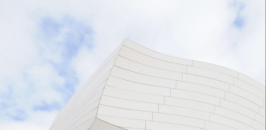 L’eleganza degli alberi: la mostra fotografica alla Galleria Malinpensa di Torino