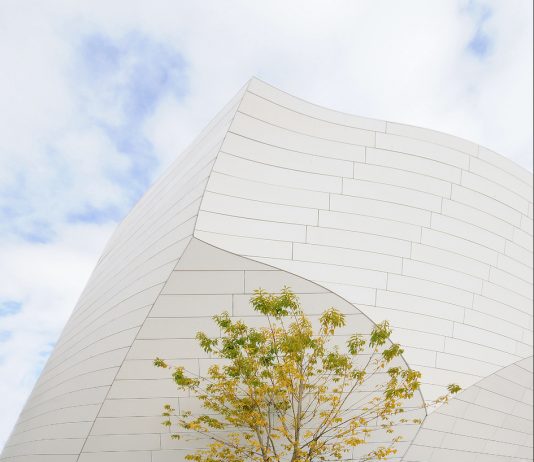 L’eleganza degli alberi: la mostra fotografica alla Galleria Malinpensa di Torino
