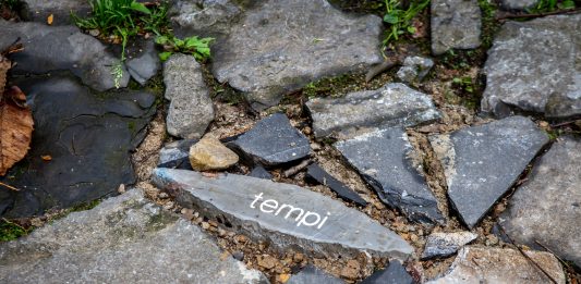 Al tuo passo: l’opera di Claudia Losi lungo la via tra Bergamo e Brescia Claudia Losi Bergamo Brescia