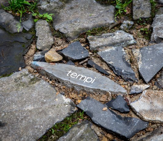 Al tuo passo: l’opera di Claudia Losi lungo la via tra Bergamo e Brescia Claudia Losi Bergamo Brescia