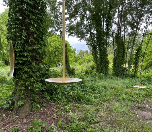 Populus Alba: l’azienda De Castelli dà voce all’installazione di Formafantasma ed Emanuele Coccia