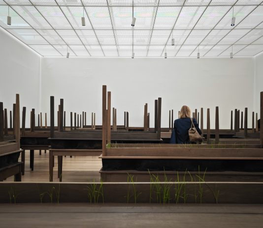 Trent’anni di Doris Salcedo. L’artista colombiana in mostra alla Fondation Beyeler