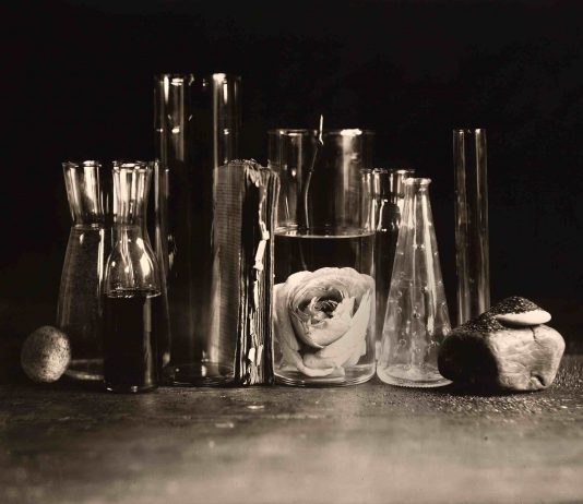 The Phair, la fiera della fotografia torna a Torino, ricordando Giacomelli