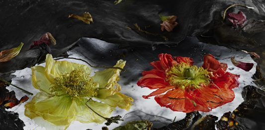 “Mario Carrieri. Amati fiori 2023” nel Chiostro Ottagono delle Gallerie d’Italia