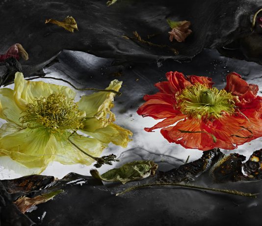 “Mario Carrieri. Amati fiori 2023” nel Chiostro Ottagono delle Gallerie d’Italia