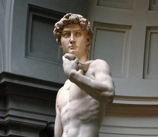 David, il Tribunale di Firenze riconosce il danno all’immagine dell’opera David tribunale diritto immagine