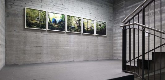 Bios techne. Corpo ambiente e tecnologia. All’università di Verona un nuovo allestimento permanente d’arte contemporanea