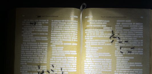 Emilio Isgrò cancella il Codice: l’intervento a Castel Capuano di Napoli