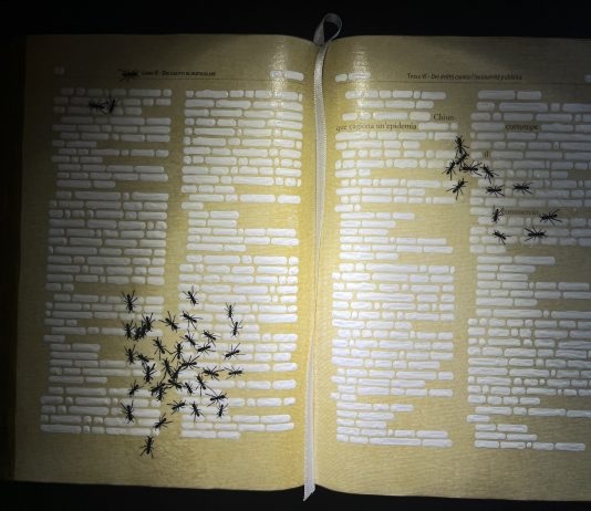 Emilio Isgrò cancella il Codice: l’intervento a Castel Capuano di Napoli