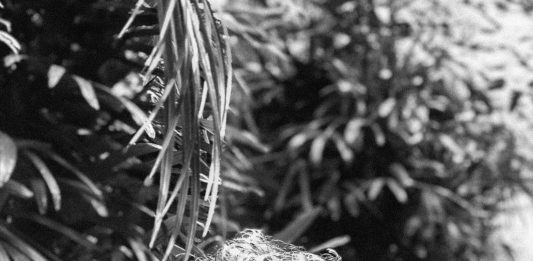 Other Identity #68. Altre forme di identità culturali e pubbliche: Marco Donazzan MARCO DONAZZAN, RITRATTO