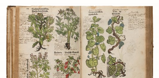 Rara Herbaria, a Roma la mostra che racconta il rapporto tra libri antichi e natura