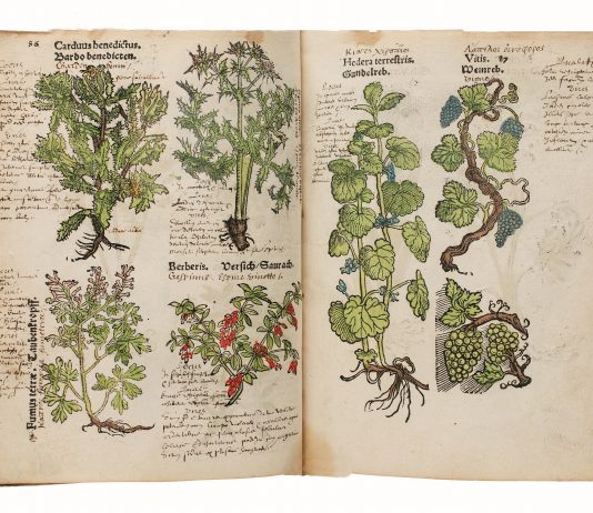 Rara Herbaria, a Roma la mostra che racconta il rapporto tra libri antichi e natura