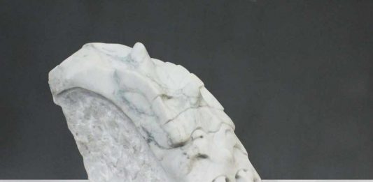 PREMIO ARTE ACQUA DELL’ELBA 2023 Venti giovani talenti dell’Accademia di Belle Arti di Brera interpretano il tema ‘Transizioni’