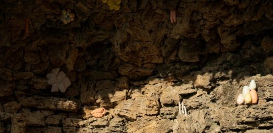 Afferrare il paesaggio. Tami Izko incontra Fondazione La Raia